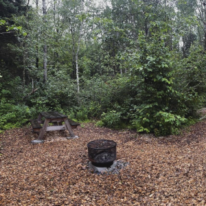 Camping rustique #3