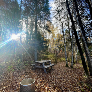 Camping rustique #4